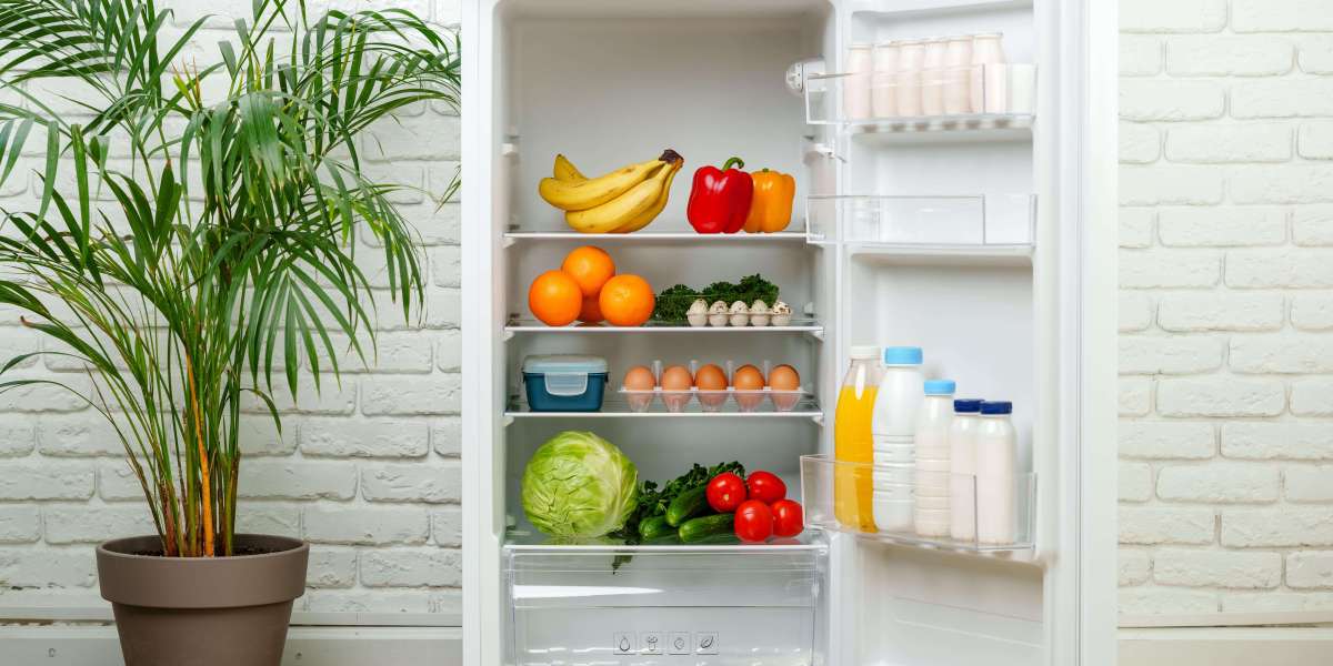 What Is Best Fridges And Why Is Everyone Talking About It?