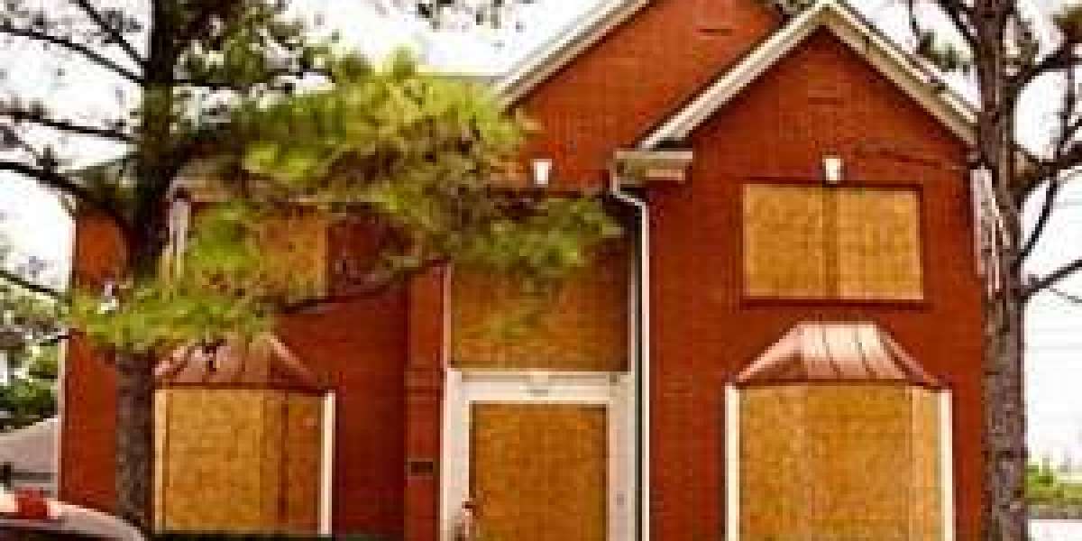 20 Trailblazers Setting The Standard In Window Screen Replacement