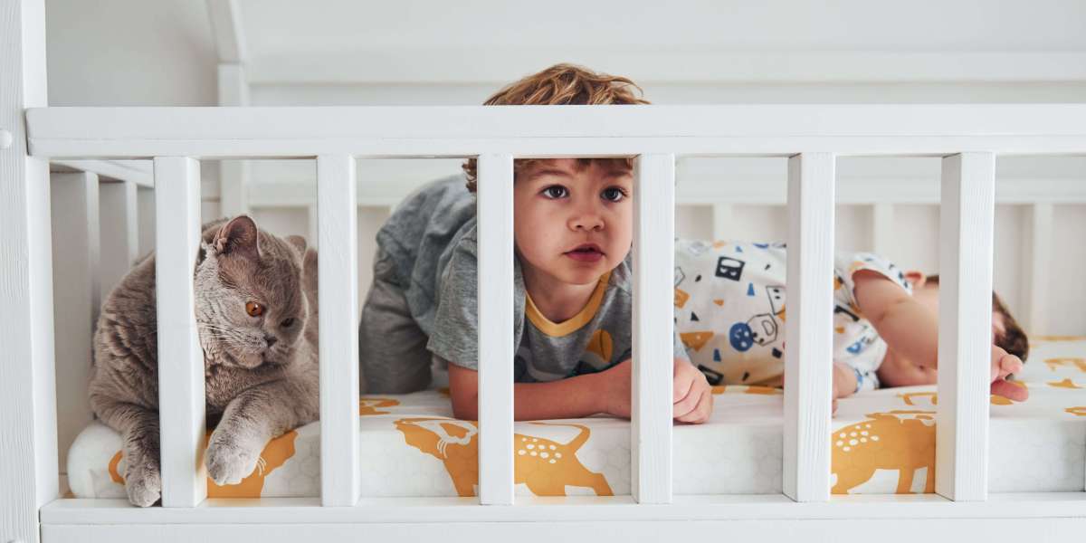 What's The Current Job Market For Cots To Tots Professionals?