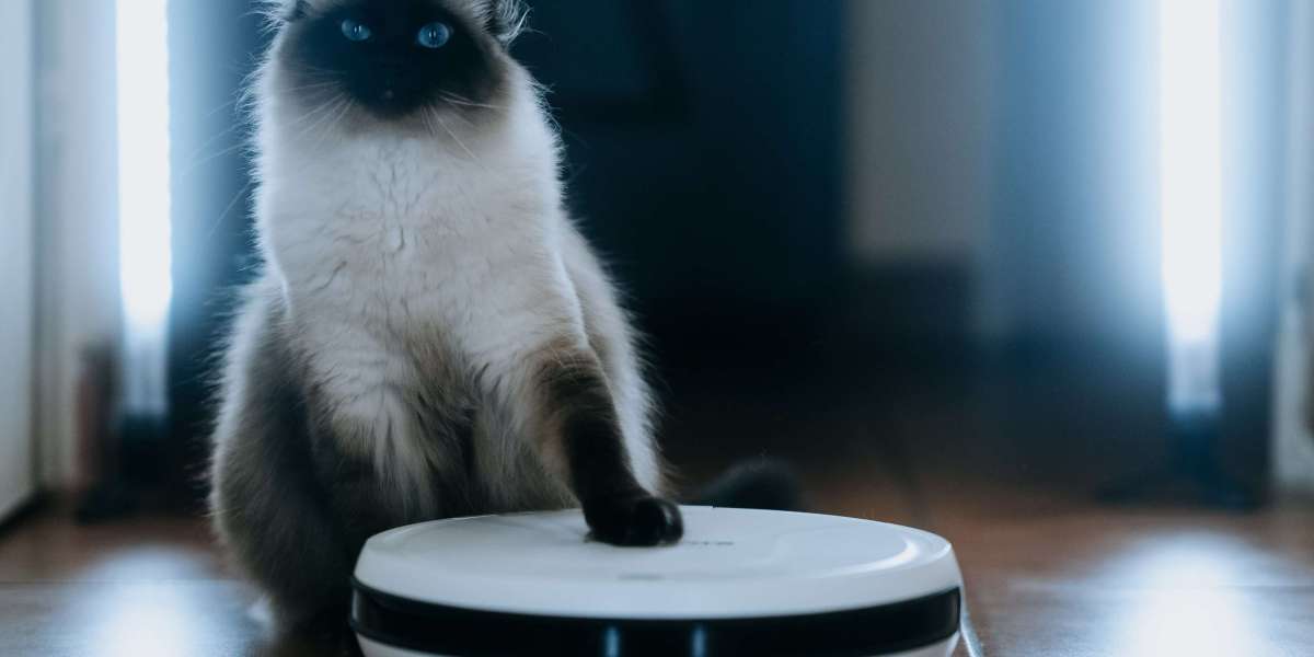 Five Killer Quora Answers On Robot Cleaner
